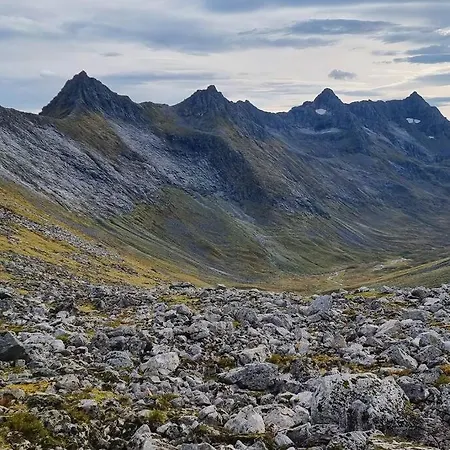 Apartment, Rekkedal Gjestegard - Saebo شقة أورستا