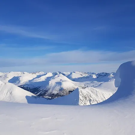 Rekkedal Gjestegard , Saebo Orsta