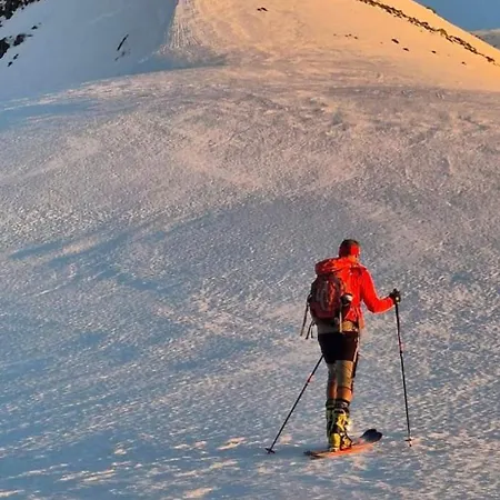 Apartment, Rekkedal Gjestegard - Saebo *