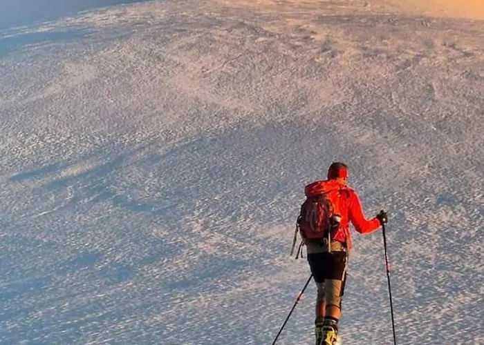 Apartment, Rekkedal Gjestegard - Saebo *